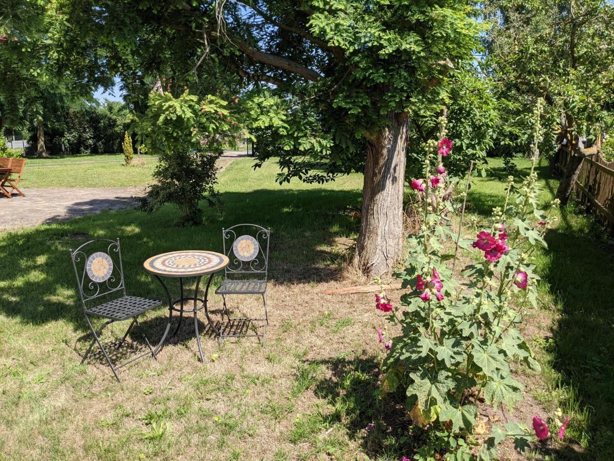 Salzhaff 4 Apartment *