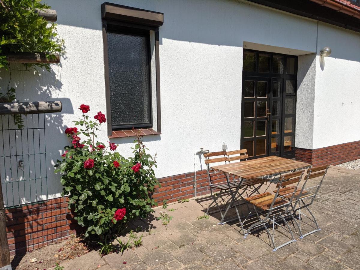 Salzhaff 4 Apartment